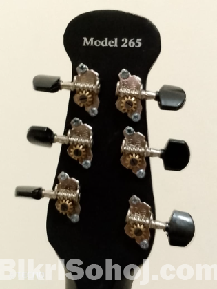 Signature model265 guitar